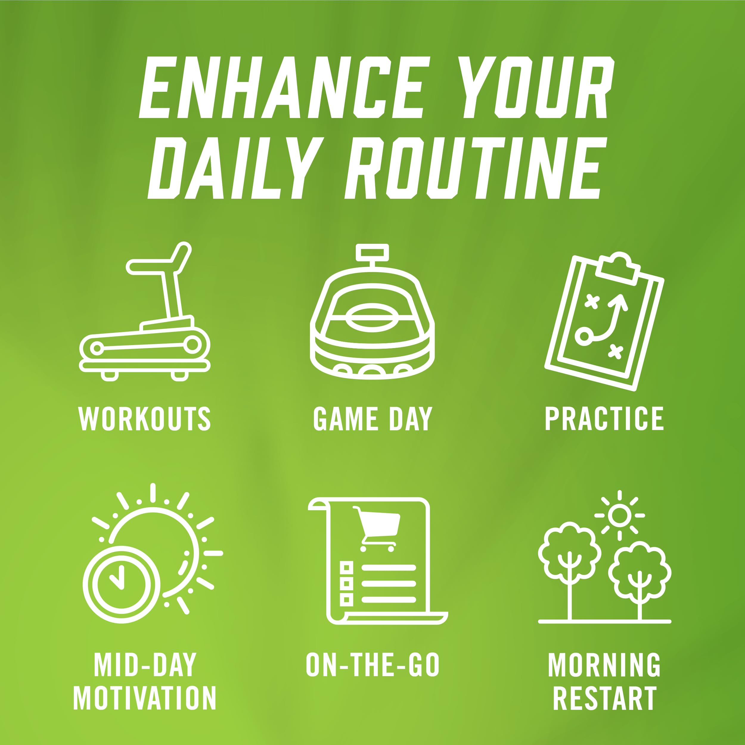 BioSteel Canadian Made Sugar Free Sports Drink | Cherry Lime | 500ml 12-Pack with 5 Essential Electrolytes for Optimal Hydration