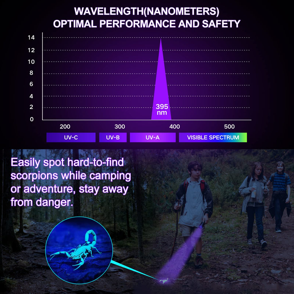 Vansky 12 LED UV Blacklight Flashlight, Pets Ultra Violet Urine and Stain Detector Fluorescent Whitening Agents Detector, Find Dry Stains on Carpets, Rugs, Floor (3 x AAA Batteries Included)